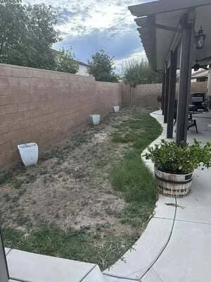 Backyard with new concrete patio, curved edging, and prepared landscape beds